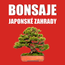 Bonsai-dnes.cz/
